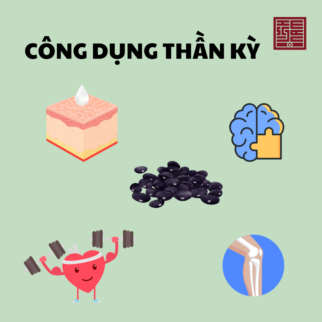 Công dụng thần kỳ